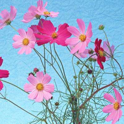 网赌爱游戏截图